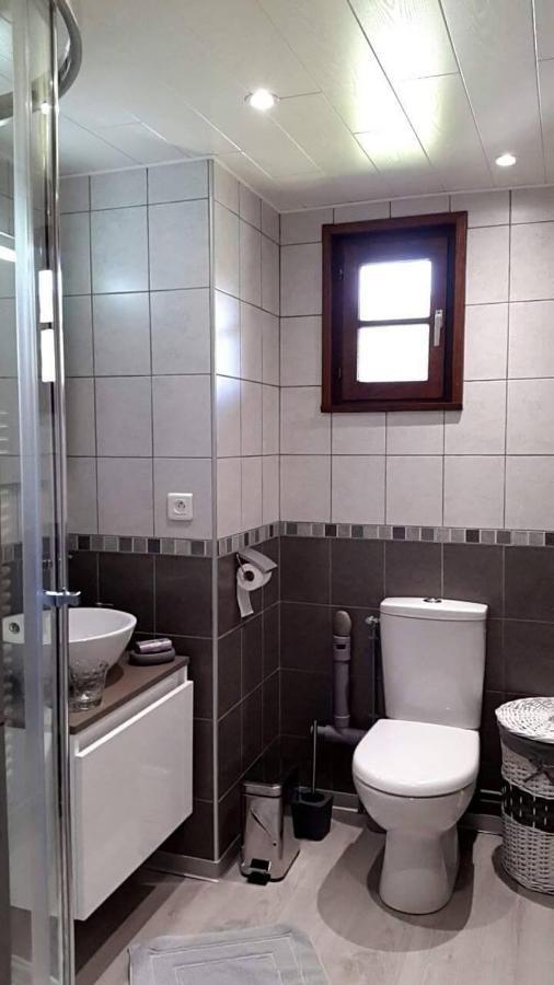 Apartamento Les Jumeaux Granges-sur-Vologne Exterior foto