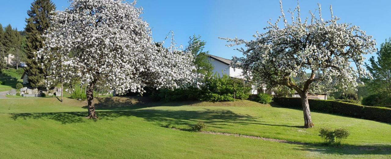 Apartamento Les Jumeaux Granges-sur-Vologne Exterior foto